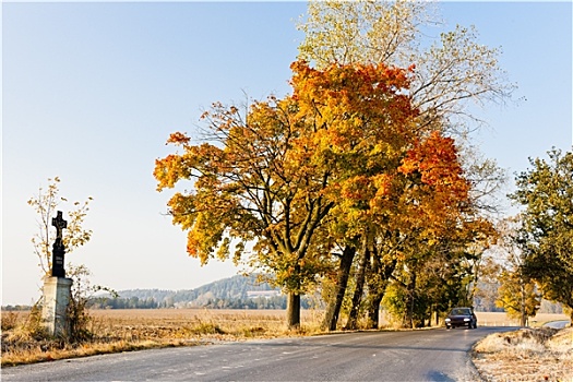 秋天,乡村,捷克共和国