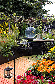 花园,角,支持,彩虹,信任,2008年,英格兰,设计师,园艺,设计