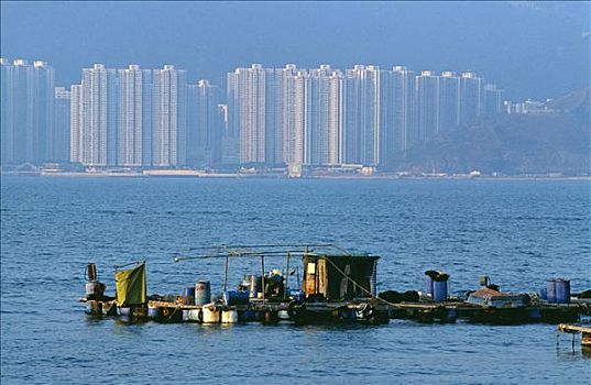 漂浮,养鱼场,南丫岛,香港,岛屿,背景