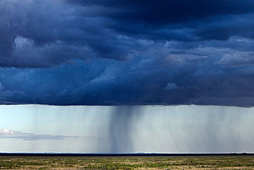 乌云,雨,柱子,塞伦盖蒂国家公园,坦桑尼亚