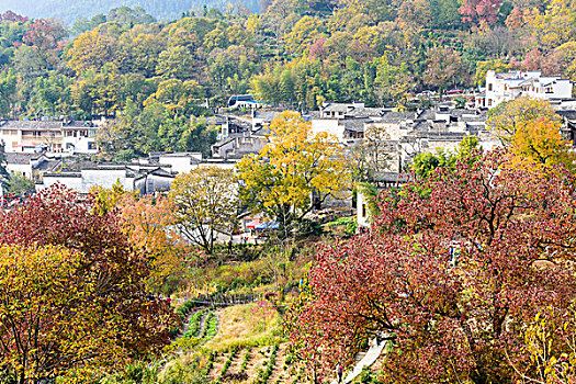 塔川秋景