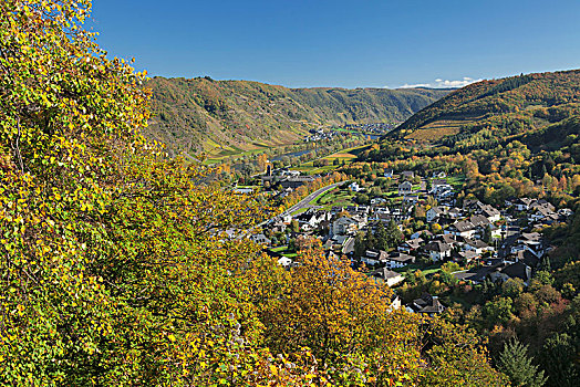 风景,上方,摩泽尔,山谷,科赫姆,秋天,莱茵兰普法尔茨州,德国
