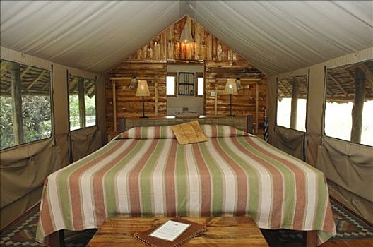 客人,大帐篷,露营,安伯塞利国家公园,肯尼亚,非洲