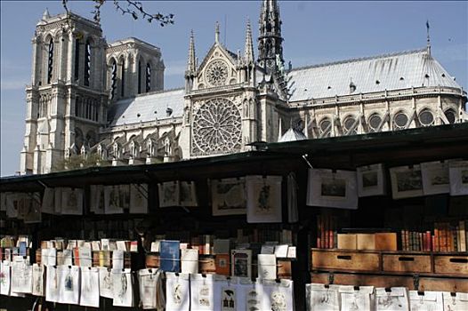 法国,巴黎,古物,书店,巴黎圣母院,大教堂,背景
