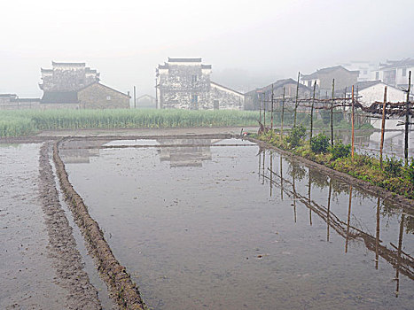 婺源西垣村田园风景