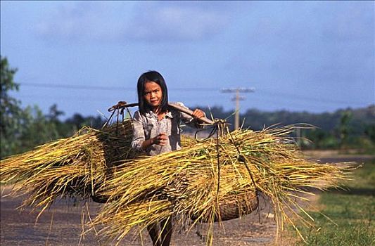 越南,岘港,孩子,稻草