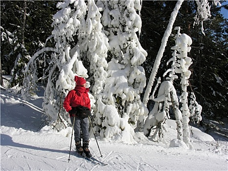 冬季运动,瑞典