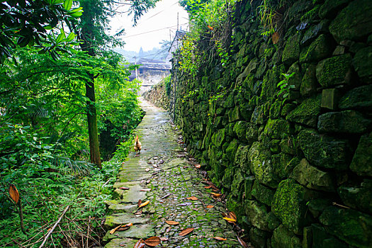 鄞州,横溪镇,横溪,俞山古村,古村,山村,老房子,古建筑