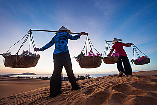 越南,美尼,沙丘,女人,锥形,帽子