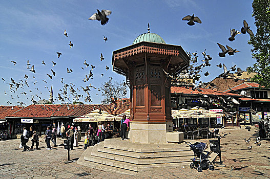 萨拉热窝,老城,中心,历史,喷泉,首都,波斯尼亚,黑塞哥维那