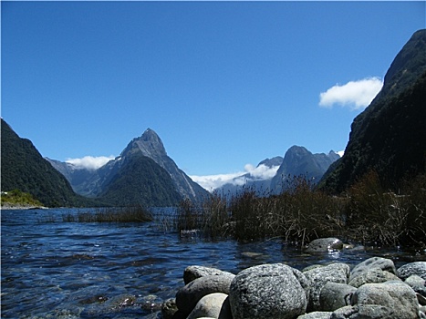 新西兰,南岛,米尔福德峡湾