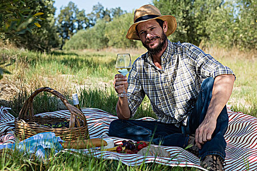 男人,头像,坐,葡萄酒杯,野餐毯,农场