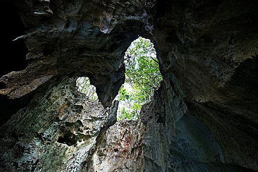汤加,岛屿,洞穴,仰视,石灰石