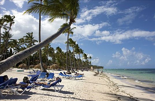 游客,棕榈树,海滩,蓬塔卡纳,多米尼加共和国,加勒比海