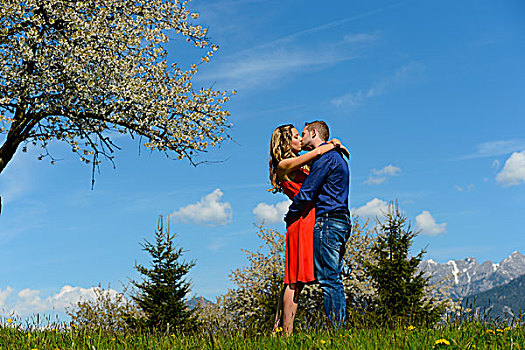 爱人,吻,靠近,开花树木,春天,提洛尔,奥地利,欧洲