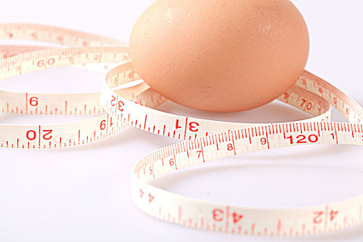 用尺子测量鸡蛋