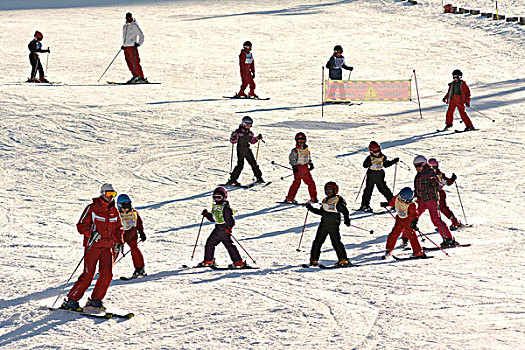 孩子,学习,滑雪,学校,滑雪胜地,圆顶,奥弗涅,法国,欧洲