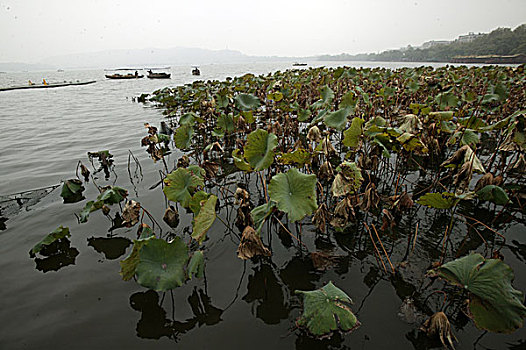 浙江杭州