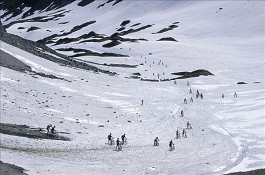 山地车手,推,自行车,雪地,挑战,意大利,欧洲