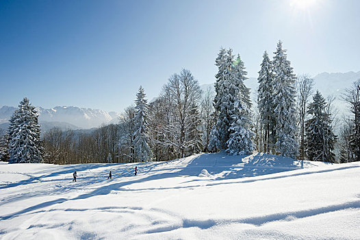 雪,冬季风景,加米施帕藤基兴,上巴伐利亚,巴伐利亚,德国,欧洲