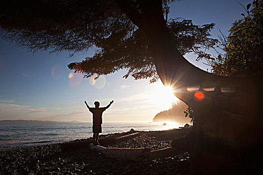 一个,男人,手臂,日落,温哥华岛,不列颠哥伦比亚省,加拿大