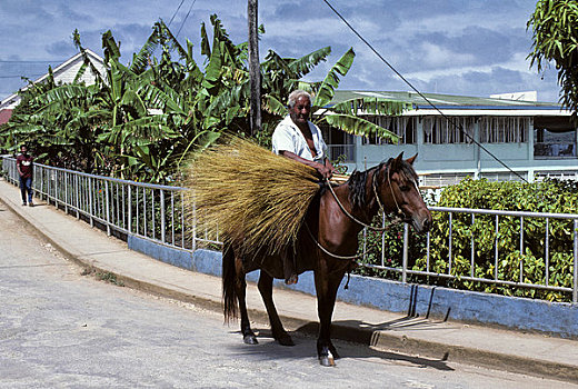 汤加,岛屿,街景,男人,骑马
