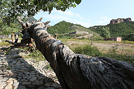 板厂峪,长城,奇石,山峦,自然