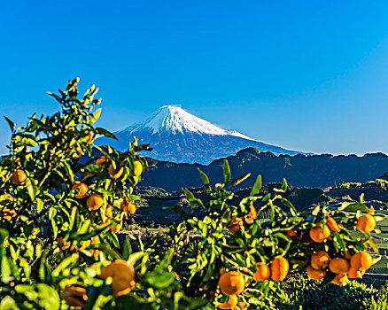 橙色,山,富士山