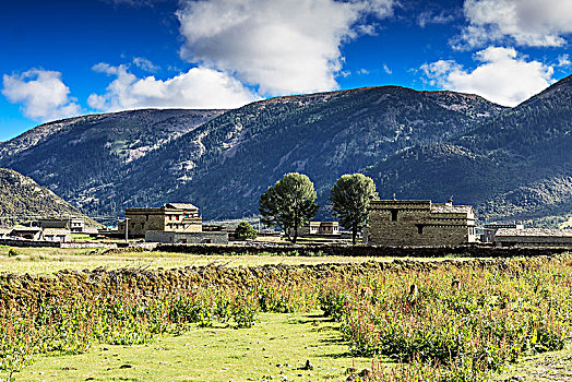 香格里拉风景