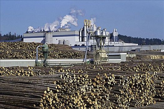 木头,纸浆厂,不列颠哥伦比亚省,加拿大
