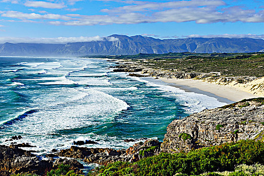 湾,长,沙滩,海滩,自然保护区,西海角,南非,非洲