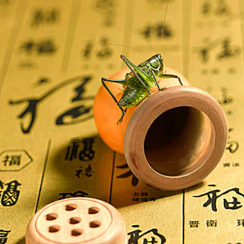 蝗虫,木箱,汉字