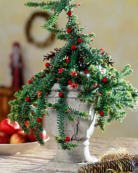银桦属,装饰,生活方式,圣诞树,小,圣诞节,彩球
