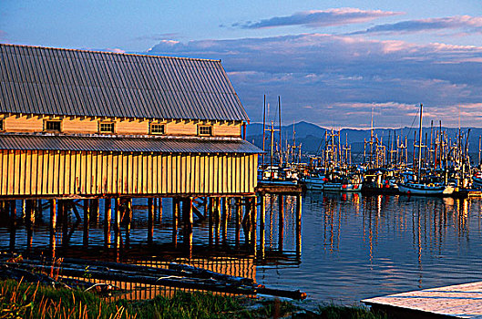 岛屿,码头,小屋,不列颠哥伦比亚省,加拿大