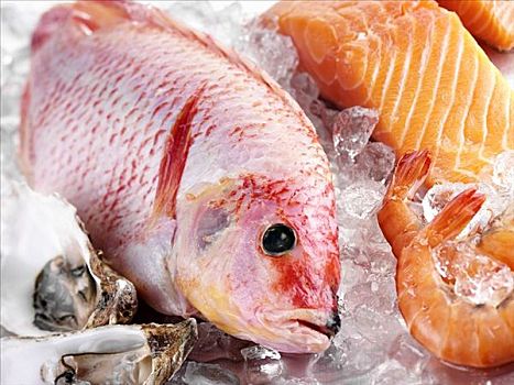 红鲷鱼,三文鱼,对虾,牡蛎