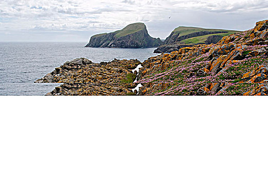 石头,南,设得兰群岛,苏格兰,英国,欧洲