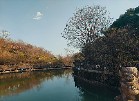 贵州醇景区风光