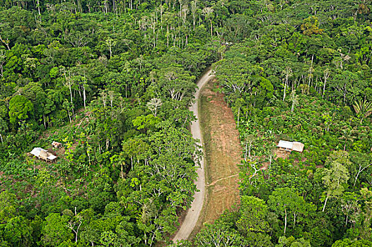 道路,油,建筑,展示,殖民地,雨林,国家公园,亚马逊河,厄瓜多尔
