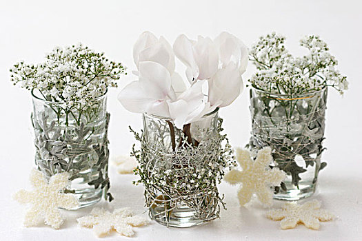 丝石竹属植物,仙客来,装饰,玻璃花瓶