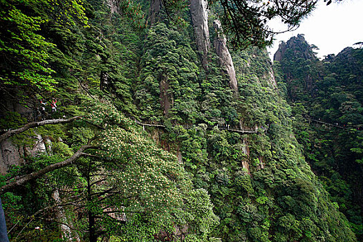 世界自然遗产江西上饶三清山风光