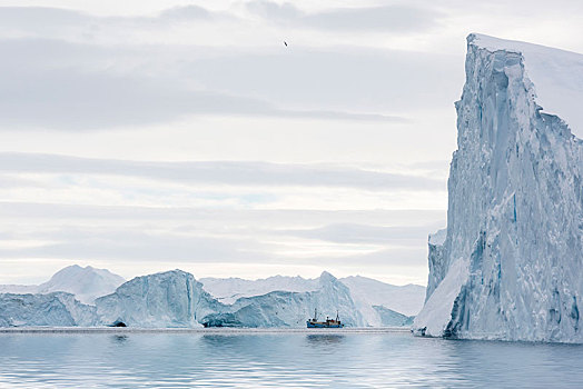 冰山,伊路利萨特,西格陵兰