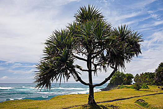 海边风景,印度洋,留尼汪岛
