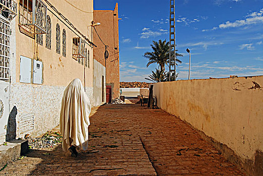 algeria,melika,rear,view,of,person,wearing,traditional,attire,walking,on,alley,by,building,with,palm,tree,in,background