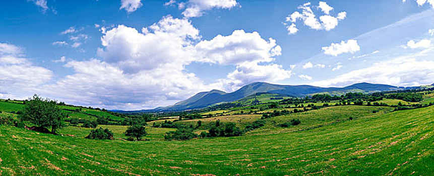 山峦,爱尔兰,草地,远景,靠近