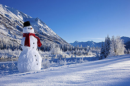 雪人,大礼帽,围巾,楚加奇山,阿拉斯加,冬天,合成效果