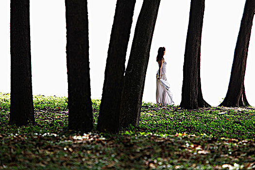 女人,穿,白色长裙,站立,树
