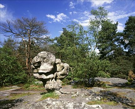 枫丹白露,狮身人面像,峡谷,翠绿