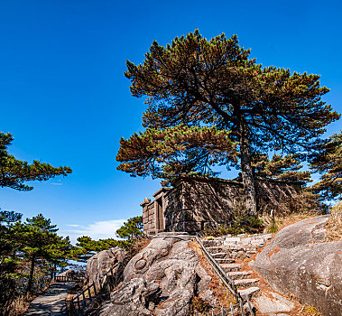 江西上饶三清山龙虎殿