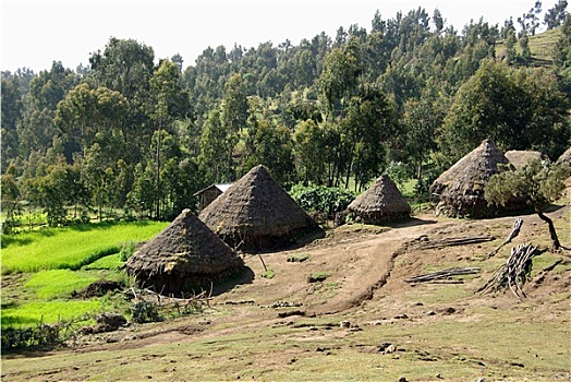 乡村,埃塞俄比亚