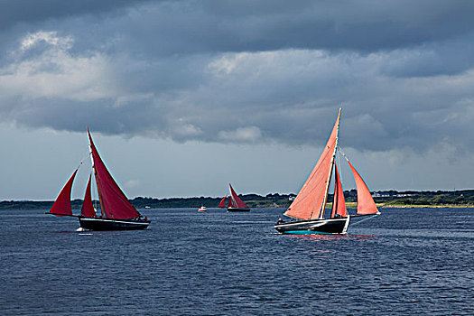 帆船,水,戈尔韦,渔船,比赛,金瓦拉,戈尔韦郡,爱尔兰